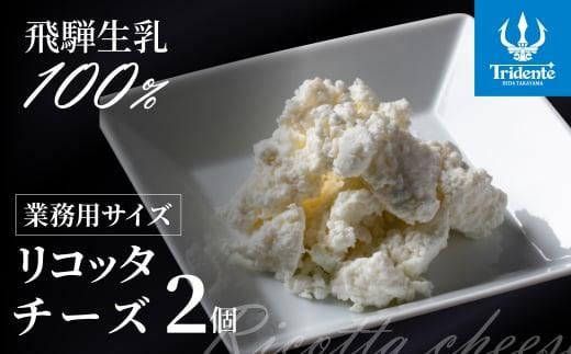 
            飛騨生乳100％ リコッタチーズ 2個（1個250g）| リコッタ 冷蔵 サラダ お菓子 前菜 サラダ 新鮮 生乳 国産 低温殺菌 乳製品 無添加 大容量 業務用サイズ 飛騨高山 トリデンテ リアライン LF006
          