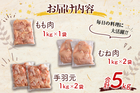 宮崎県産鶏肉 スペシャル鶏三昧セット 合計5kg【B607】