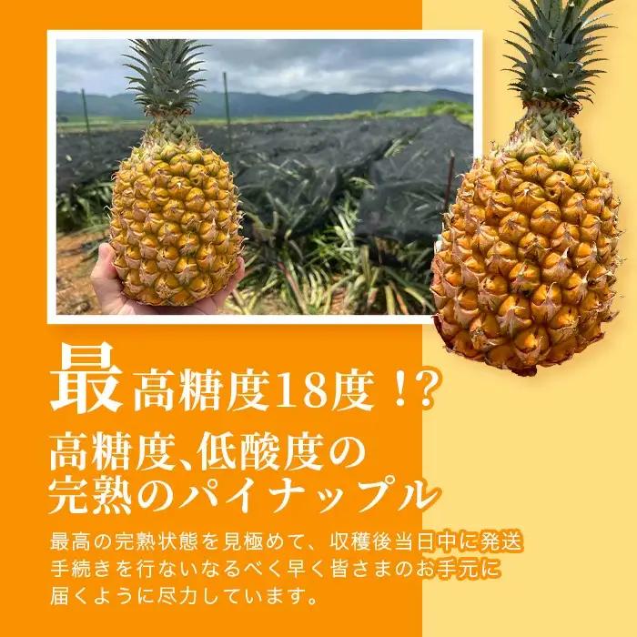 《2027年4月上旬以降発送》爽香果 スナックパイン 2玉 約1.8kg