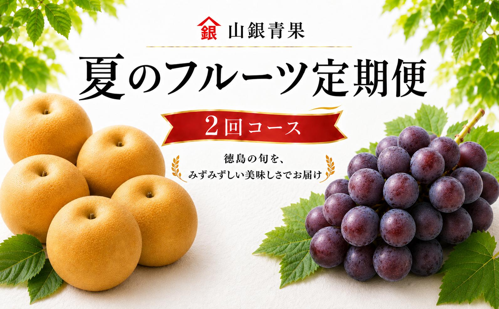 フルーツ 定期便 2回 フルーツ定期便 コースA 果物 ピオーネ 梨 季節 旬 詰め合せ 国産 おまかせ 産地直送 徳島県 徳島 山銀青果