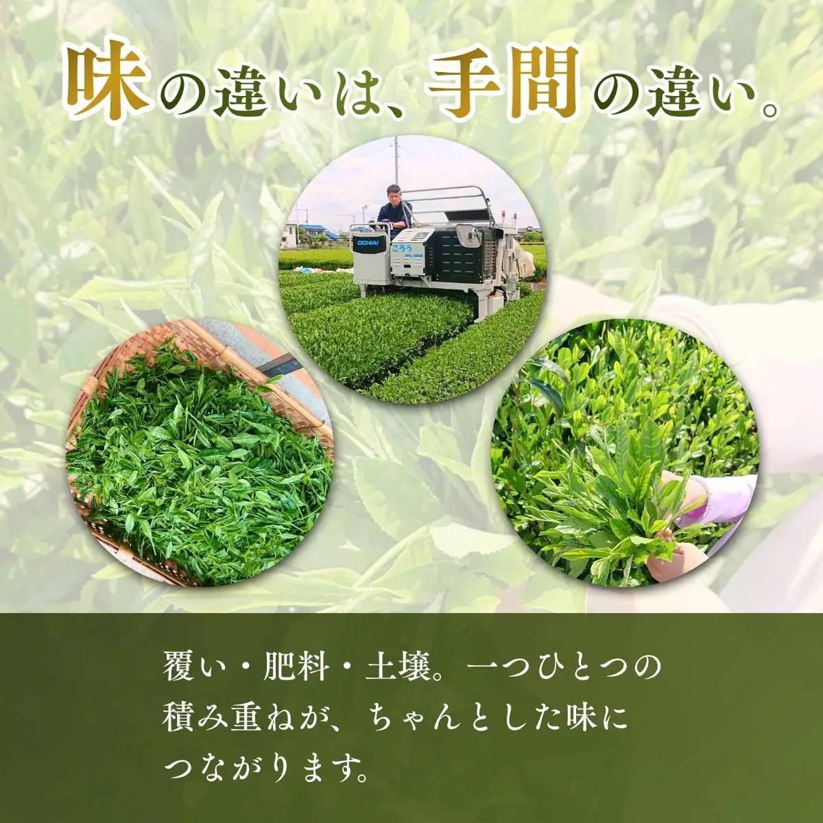ほうじ茶 抹茶入り玄米茶 ティーバッグ 4袋セット(各2袋) 埼玉県 狭山市