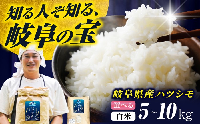 
                  【選べる容量】【令和7年度産】岐阜県産米ハツシモ5kg、10kg ハツシモ はしつも 白米 精米 米 こめ ごはん コメ 5kg 5キロ 10kg 10キロ 岐阜市 / 藍川ファーム [ANHI001]
                