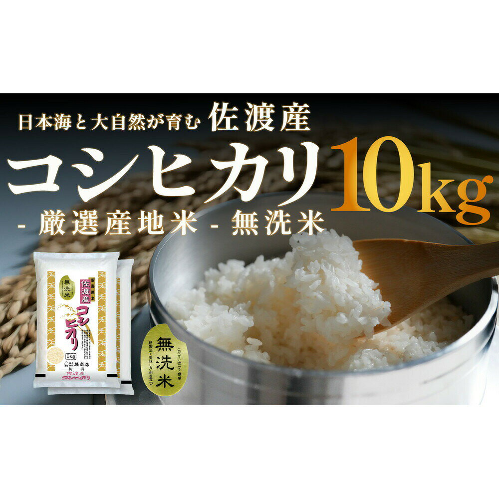 【ふるさと納税】米 無洗米 コシヒカリ 10kg 5kg×2 令和7年産 佐渡産 こしひかり NTWP製法 五ツ星お米マイスター精米 白米 ごはん おにぎり 新潟県 佐渡市