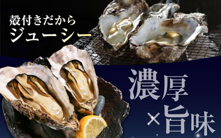 冷凍牡蠣殻付き15個 牡蠣[XBP018]