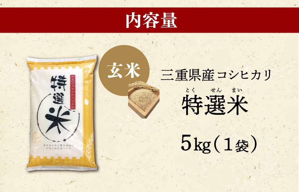 (有)松幸農産 特選米 玄米 5kg セット コシヒカリ お米 おこめ 三重県産 送料無料 5kg×1袋 玄米 小分け 冷めてもおいしい ふるさと納税 ふるさと 米 コメ こめ ギフト プレゼント 人