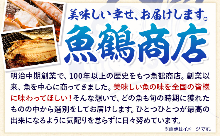 塩さばフィレ(真空パック入)  選べる 8枚入 12枚入 24枚入 魚鶴商店《30日以内に出荷予定(土日祝除く)》 和歌山県 日高町 さば 塩サバ 鯖