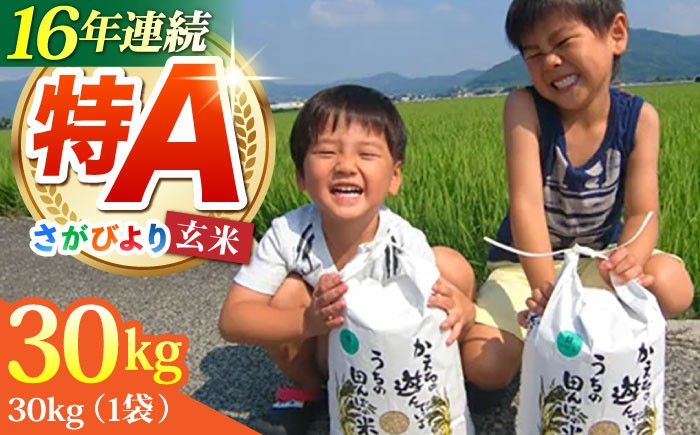 
                  【発送月が選べる】令和7年産 さがびより 玄米 30kg【ひなたむらのお米】 [HAC001] 米 佐賀 佐賀県産 特A評価 特A米
                