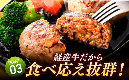 【3回定期便】自家製ハンバーグ8個  人気商品が3回届く！/ ハンバーグ [IAX011]