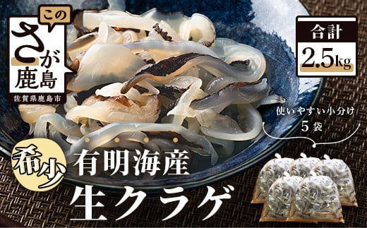 B-433【有明海産】希少！新物！生クラゲ2.5kg（ビゼンクラゲ）