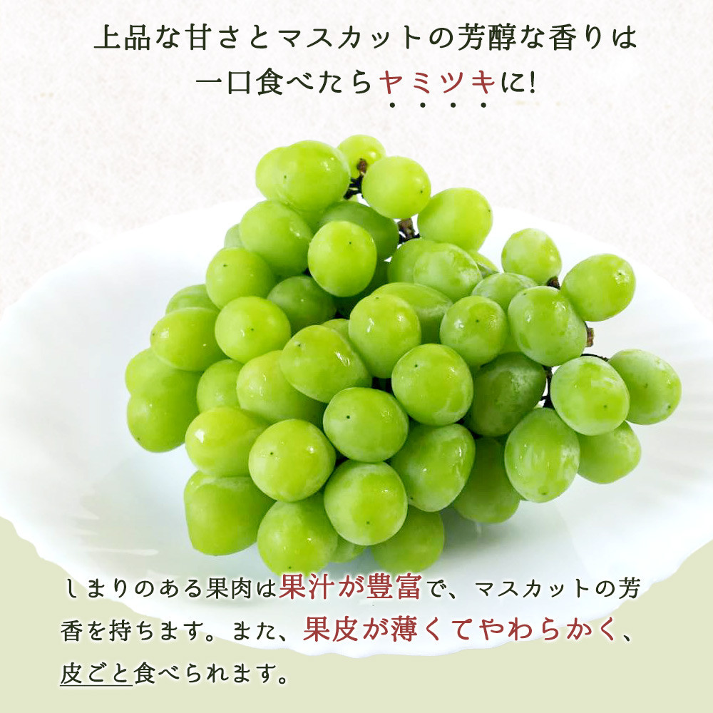 定期便 8・9月発送 紀州有田産旬のフルーツセット（梨×約2kg  化粧箱入・シャインマスカット×約2kg）  	AN069_イメージ3
