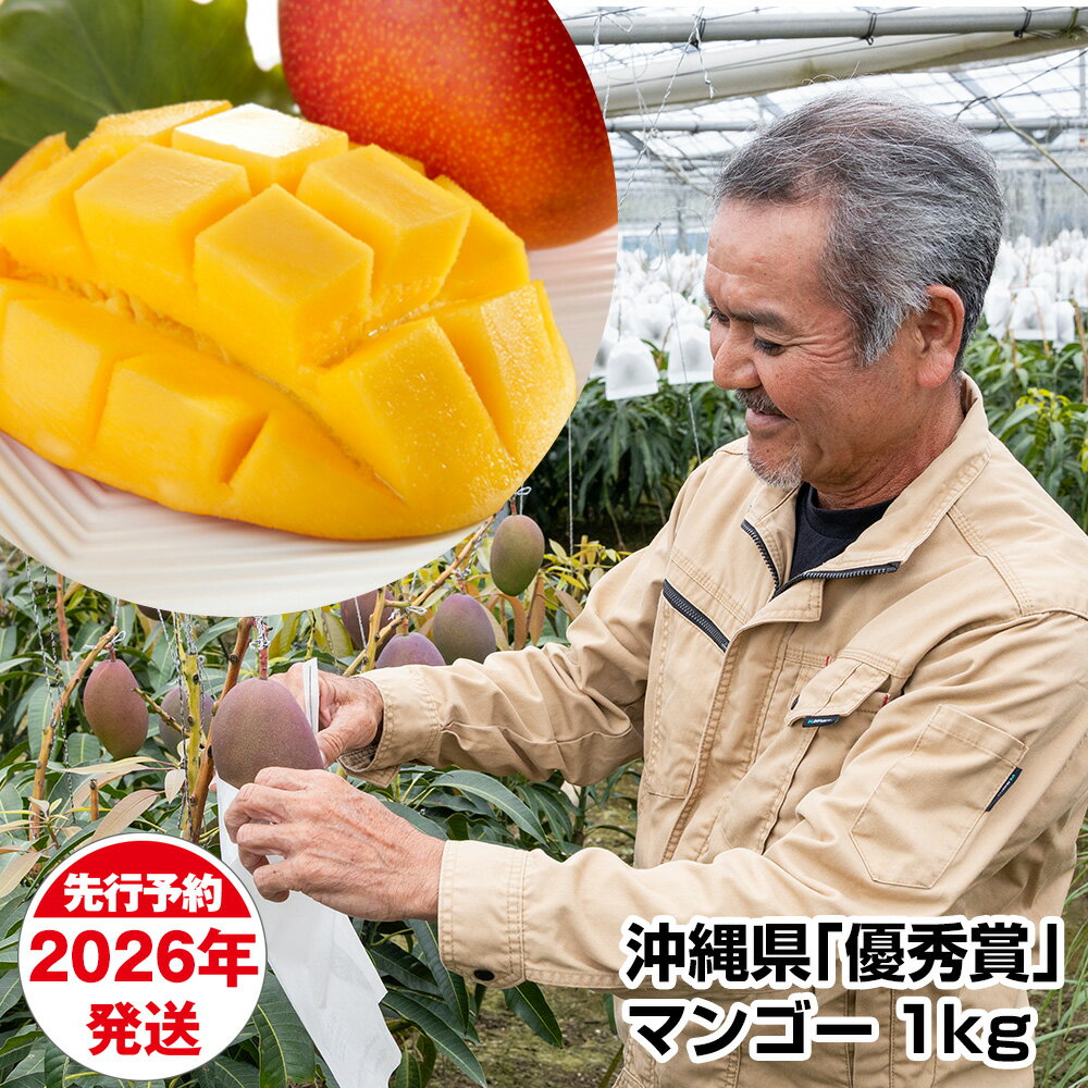 【ふるさと納税】【2026年発送】芳醇な香り　とろける食感　沖縄県「優秀賞」マンゴー1kg