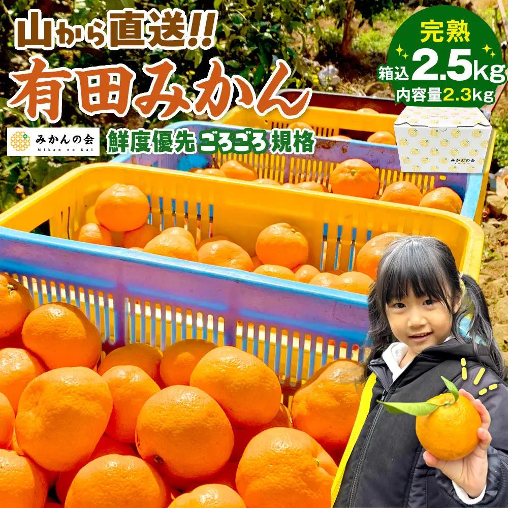 訳あり みかん 約 2.3kg 有田みかん