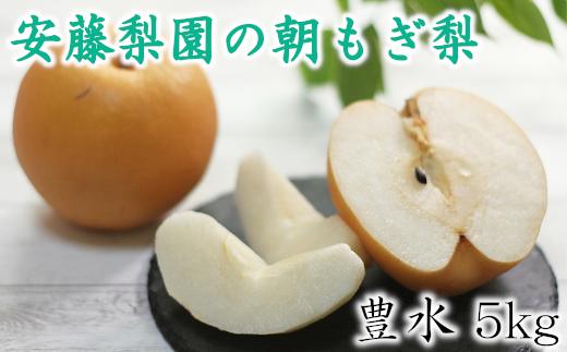
            白岡　安藤梨園の朝もぎ梨　豊水　約5kg　【11246-0148】
          
