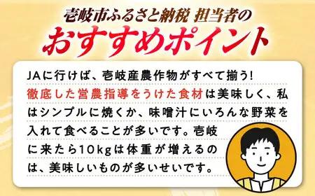 旬のお野菜7品セット《壱岐市》【壱岐市農業協同組合】[JBO001] 野菜 10000円