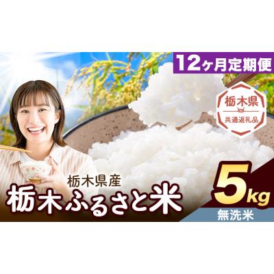 ふるさと納税 野木町 【12ヶ月定期便】栃木ふるさと米 無洗米 5kg 栃木県 野木町《翌月から出荷》【栃木県共通返礼品】