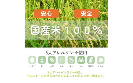 お米で作った簡単パンミックス（300g×10セット） No.496