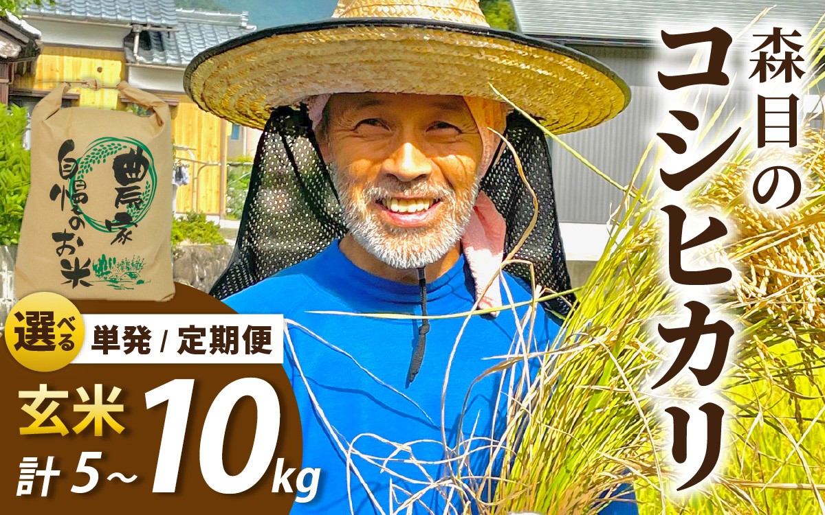 
                  【令和8年産 新米 先行予約】【玄米】福井県大野市　森目のコシヒカリ 【選べる容量・配送回数】5kg ～ 10kg |  お米 米 こめ 玄米 コシヒカリ 定期便 お米 3ヶ月 6ヶ月 12ヶ月 精米 玄米 白米 こめ コメ お米 2026年産 おこめ ご飯 ごはん 送料無料 国産 白飯 産地直送 R8 おいしい ふるさと納税 3回 6回 12回 R8 月1回お届け
                