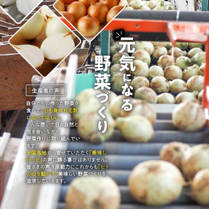 (2026年発送)【数量限定】訳あり 新玉ねぎ 生がおいしい 神重農産のブランド玉ねぎ「旬玉」2.5kg ブランド玉ねぎ 玉ねぎ 国産 愛知県産 野菜 やさい 農家直送 畑直送 旬 期間限定 たまねぎ