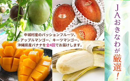 【発送月固定定期便】JAおきなわ厳選!季節の南国フルーツ全4回【配送不可地域：離島】【4079625】