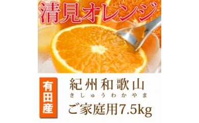 【ご家庭用訳アリ】紀州有田産清見オレンジ　７.５kg<br>※2025年3月下旬～4月中旬頃に順次発送予定