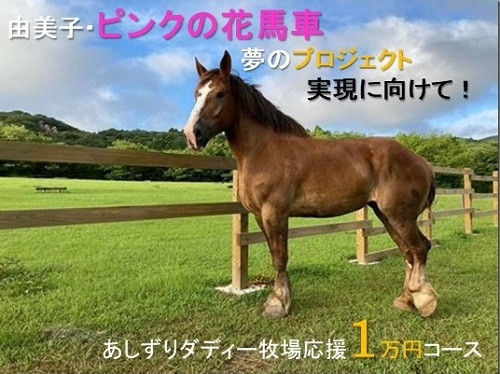 
由美子・ピンクの花馬車夢のプロジェクト実現に向けて！あしずりダディー牧場応援（１万円コース）クラウンドファンディング クラファン 馬主 競馬 動物【R00341】
