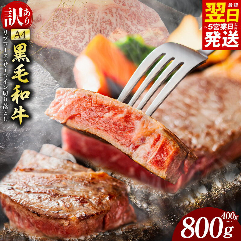 【ふるさと納税】黒毛和牛 400g / 800g リブロース サーロイン ステーキ 切り落とし 氷温熟成 極味付け A4ランク 国産 牛肉 サイズ不揃い 規格外 熟成肉 限定 発送月 最短 翌日発送 5営業日 大阪府 泉佐野市 送料無料 肉の泉佐野 訳あり