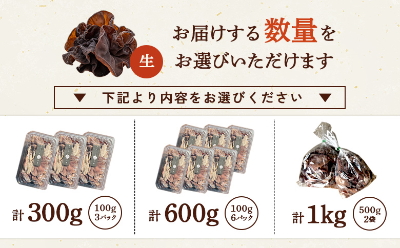 《国産》東北きくらげ【木華（もっか）】300g (100g×3パック)【580001】 100g×3パック