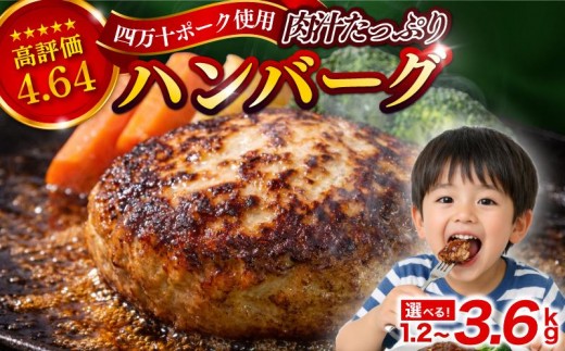 
                  ハンバーグ 発送月が選べる 1.2kg 2.4kg 3.6kg 冷凍 真空 小分け 個包装  四万十ポーク 肉汁 たっぷり 大容量 大きめ 人気ハンバーグ 合挽き 牛肉 豚肉 保存料 不使用 ビーフ ポーク 合いびき肉 挽肉 ジューシー お弁当 おかず 惣菜 晩ごはん 贅沢 お取り寄せ 肉 ギフト 人気 高知県 須崎市 弁当 冷凍食品 お惣菜 はんばーぐ hannba-gu SNM
                