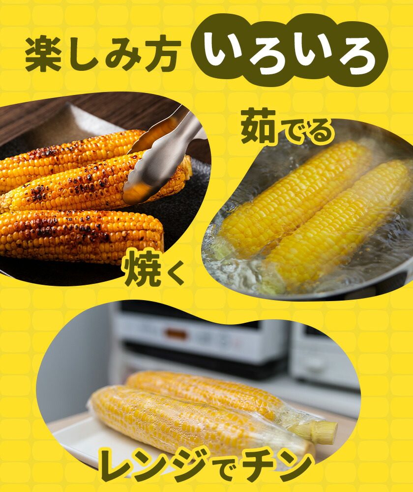 スイートコーンセット 8-10本【養生市場】 コーン とうもろこし 品種おまかせ ランダム 野菜 九州産 熊本県産 送料無料《5月上旬-6月末頃出荷》---003-1576---