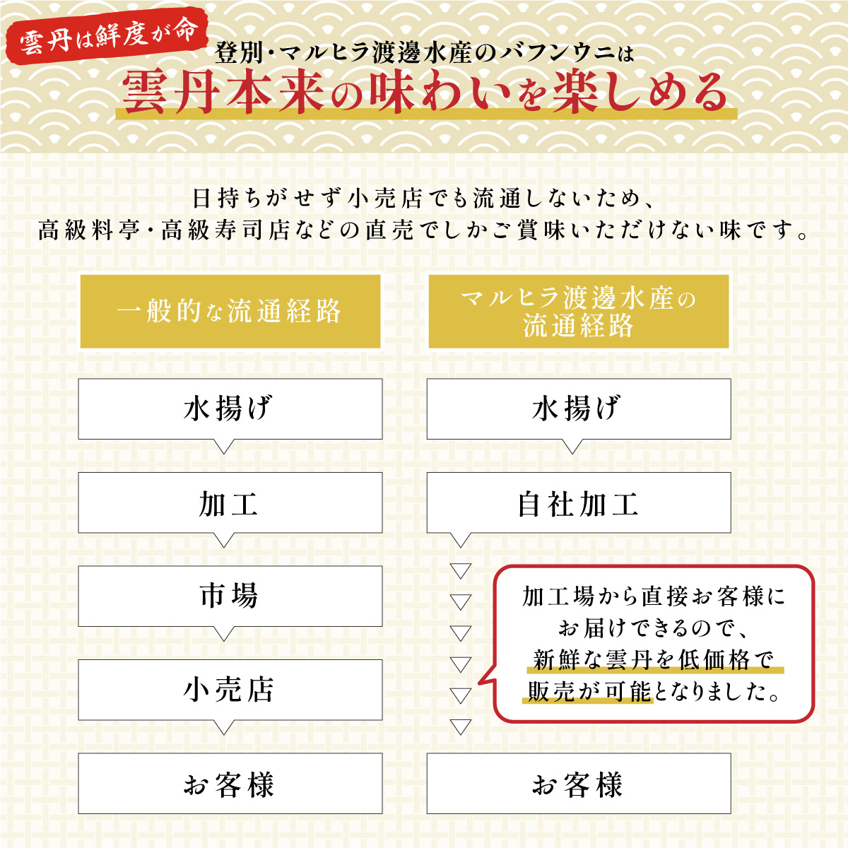 無添加　極上エゾバフンウニ塩水パック 100g≪配送期間A≫2023年6月上旬～8月中旬迄