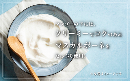 フローズン マンゴーティラミス 1箱 80g × 6個 | ポティロン株式会社 | 国産 沖縄県産 フルーツ 幻のキーツマンゴー 100% | 冷たい ティラミス チーズケーキ デザート スイーツ お