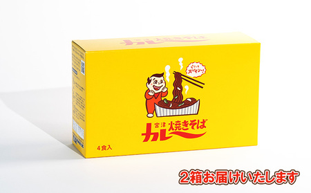 即席めん 宮津カレー焼きそば 4食入×2箱 天橋立 ご当地 ソウルフード インスタント麺 焼きそば ラーメン 麺類 B級グルメ 宮津 家庭 カレー焼きそば  myz11