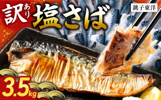 訳あり 塩さば フィーレ 選べる容量 約3.5kg 鯖 さば 塩鯖 フィレ 魚介類 魚 魚貝 魚介 海鮮 人気 冷凍 大容量 冷凍食品 おつまみ 酒 さけ おかず 惣菜 弁当 不揃い 規格外 訳アリ 訳有 傷 グルメ お取り寄せ 贈答 贈物 プレゼント 贈り物 長期保存 ギフト 小分け ふるさと納税 ふるさと納税鯖 送料無料 千葉県 銚子市 銚子東洋