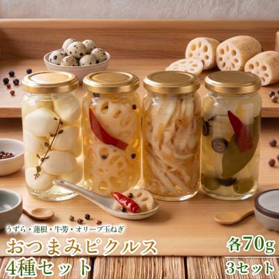 ふるさと納税 神河町 【フレンチシェフの手作り柚子ピクルス】おつまみピクルス4種セット 各70g 3セット