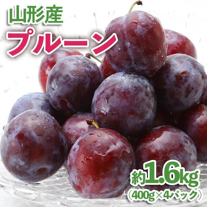 山形産 プルーン 約1.6kg(400g×4パック)【令和8年産先行予約】FU23-535 くだもの 果物 フルーツ 山形 山形県 山形市 2026年産