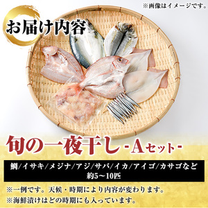 数量限定！阿久根市産の旬の一夜干しグルメ＜A＞セット(鯛・アジ・イカ・サバなど)国産 鮮魚 詰め合わせ お楽しみ 海の幸 魚介類 干物 海鮮【さるがく水産】a-12-205