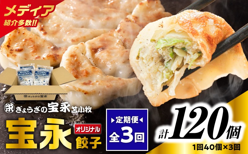 
                  【全3回定期便（毎月）】宝永餃子10個入セット（宝永餃子10個入×4袋）合計1.0kg　T004-T03-02
                