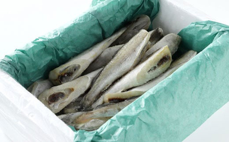 一夜干し氷下魚（こまい）寒風干し1.0kg入 ふるさと納税 魚 F5F-0072