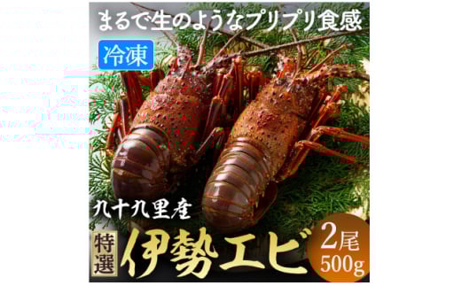 冷凍伊勢海老  刺身用 2尾 (計 500g ) 伊勢 海老 イセエビ エビ 冷凍 真空個装 真空パック 刺身 生食用 魚介 魚貝 鮮魚 急速冷凍 瞬間冷凍 新鮮 高級 人気 お祝い ギフト 贈り物 贈答 お取り寄せ グルメ おすすめ 送料無料 ふるさと納税 不動丸 千葉県 旭市 fdm019