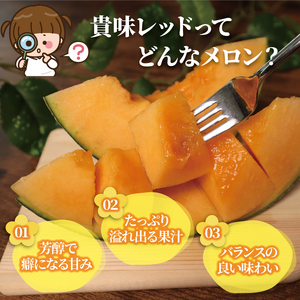 【2026年 先行予約 】贈答用 貴味メロン 赤肉 2玉 メロン メロン メロン メロン メロン メロン メロン メロン
