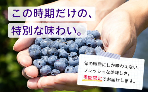 【期間限定】南大隅産 (生) ブルーベリー 食べ比べセット (5品種を1パックずつ) 100g×5P BO-2｜鹿児島県 南大隅町 旬 産地直送 果物 フルーツ くだもの 新鮮 農園 冷蔵 本土最南端