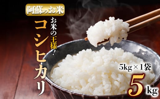 【選べる内容量】阿蘇の美味しいお米をお届け！5kg コシヒカリ 農家指定無 令和6年産 お米 米 コシヒカリ 精米 白米  ふるさと納税 おすすめ 令和6年度 5kg 阿蘇米 阿蘇のお米 ご飯 ごはん 美味しい 寒暖差 湧き水 お取り寄せ 食卓 豪華 贅沢 自然 湧水 熊本県 阿蘇市