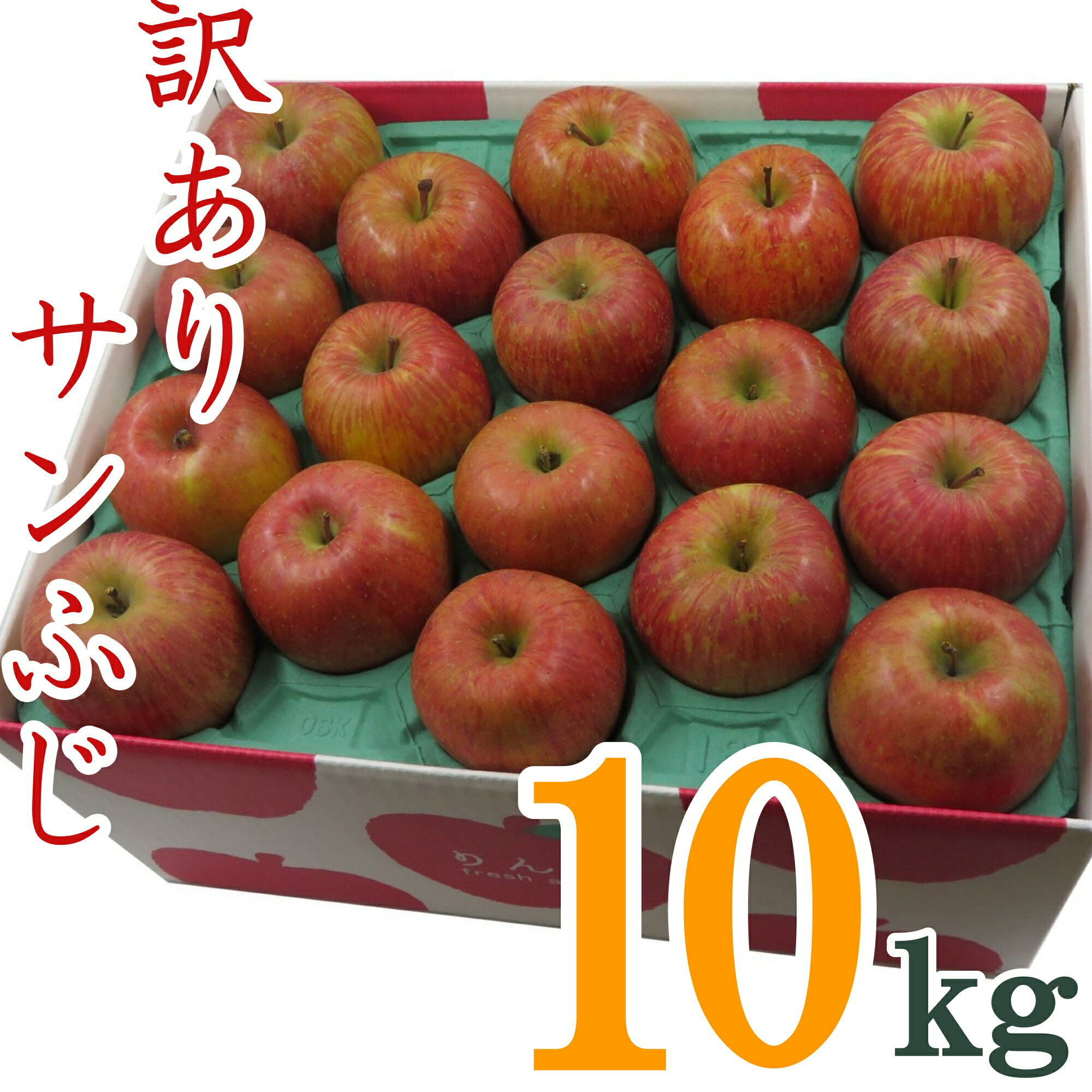 【ふるさと納税】【2025年11月～12月発送】訳ありリンゴ（サンふじ）10kg（1箱2段詰）_H128(R7)