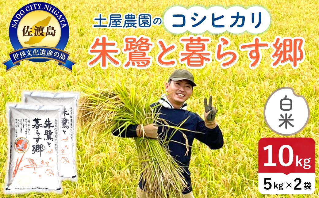 
                  佐渡島産コシヒカリ 白米 10kg（5kg×2袋） 令和7年産 特別栽培米 土屋農園 | 新潟県産コシヒカリ 新潟産コシヒカリ 佐渡産コシヒカリ 新潟県産こしひかり 佐渡産こしひかり お米 米 こしひかり 白米 精米 おこめ コメ 10キロ にいがた さど 新潟県 佐渡市
                