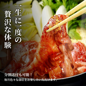 Y290 【和牛セレブ】鳥取和牛半頭分（24分割配送） 