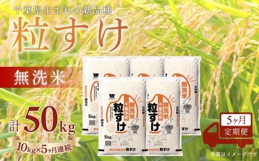 ＜5か月定期便＞ 千葉県産「粒すけ」無洗米 10kg×5か月連続 計50kg