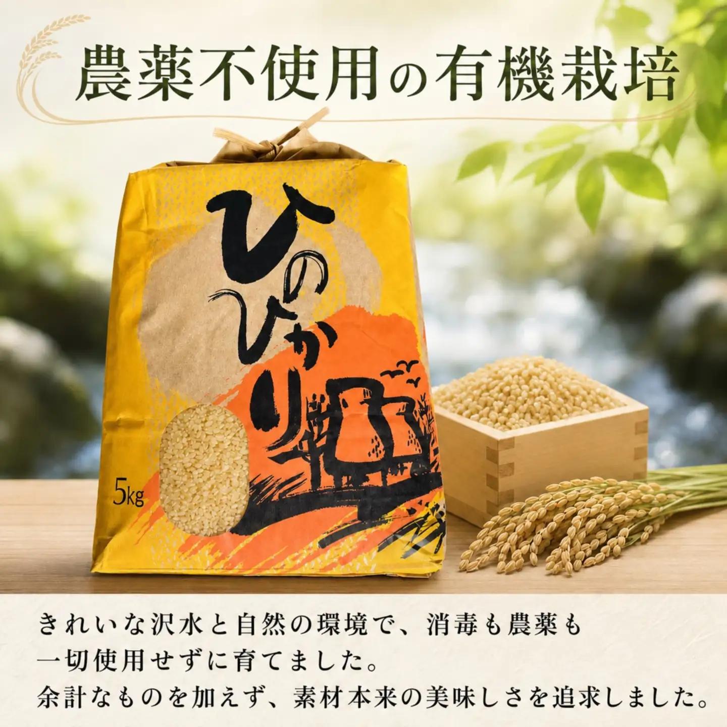 ひのひかり 玄米 新米 5kg 2026年産［1120-2］