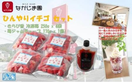 ひんやりイチゴ セット（きらぴ香 冷凍苺 250g×4袋＋苺ジャム チューブ 170g×1個）冷凍 なかじま園 自宅で かき氷 パフェ いちご 苺 国産 フルーツ くだもの◆