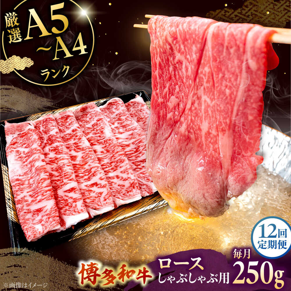 【ふるさと納税】【全12回定期便】【数量限定 博多和牛】ロース しゃぶしゃぶ用 250g ▼ 牛肉 博多 和牛 極上 バーベキュー ブランド 国産 高級 高評価 特別 上質 桂川町/株式会社チクゼンヤ[ADBZ044]