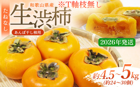 柿 生渋柿たね無 あんぽ柿用T軸枝無 約4.5～5kg　約24～30個【2026年10月中旬～11月上旬ごろ順次発送】【ART16】【G214-art003B】